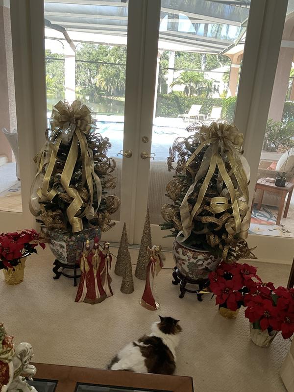 Customer carousel item 4.