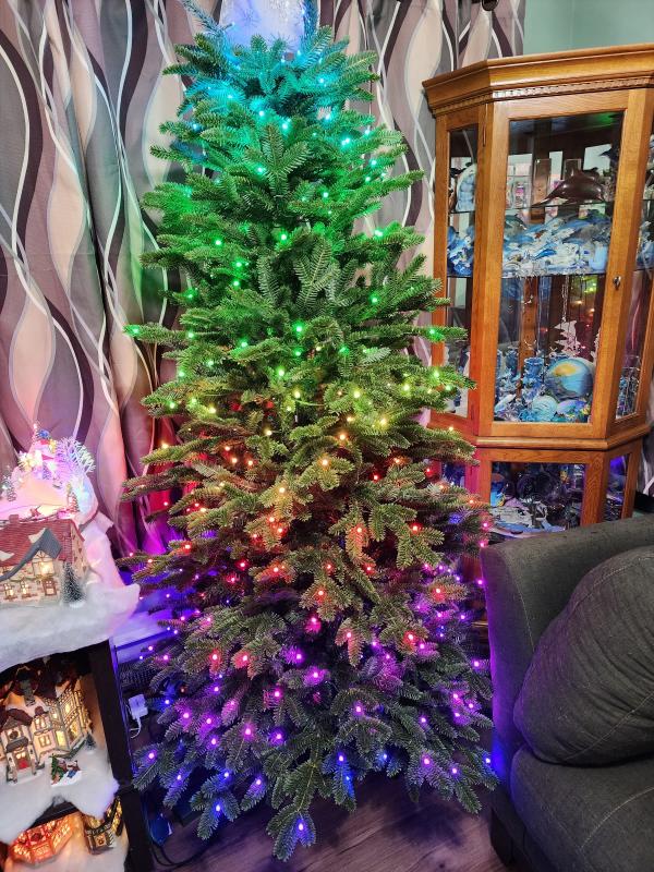 Sparse compared to advertising