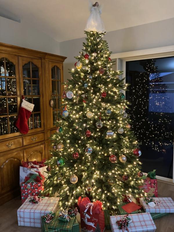 Loving our Balsam Hill Colorado Mountain Spruce 7.5 foot Flip Tree in Florida!