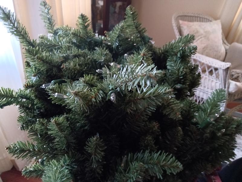 Not the type of branches I wanted