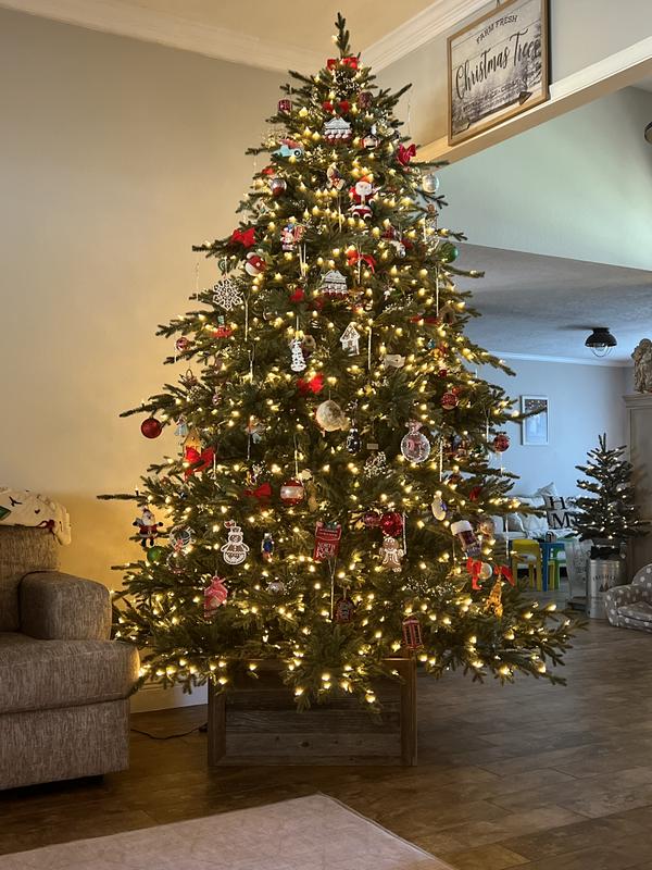 Review Thumbnail Image 0 369674804