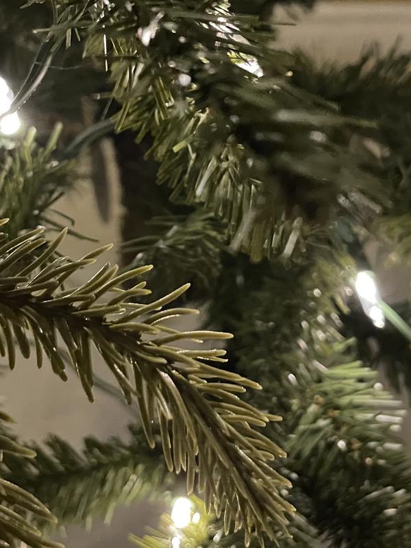 Cheaper needles on interior branches.