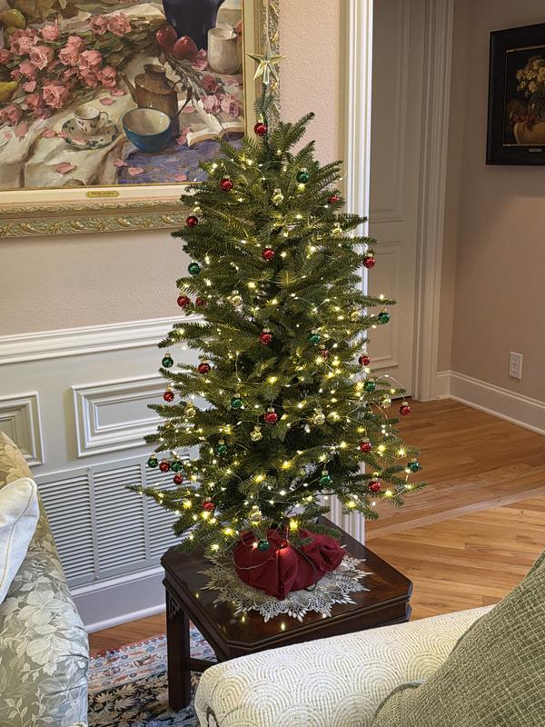 Customer carousel item 5.