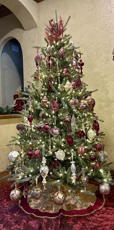 Pictures have no filters or adjustments to color