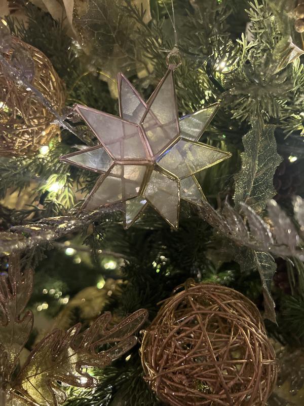 Review Thumbnail Image 1 373305952