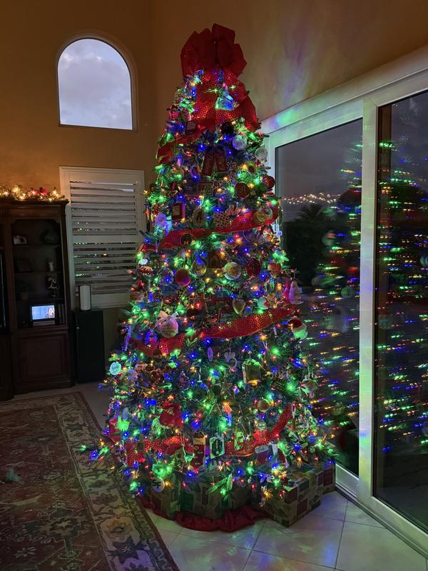 We love the options of lights…I like clear and my husband likes the clear and colored. It’s nice to be able to change it.