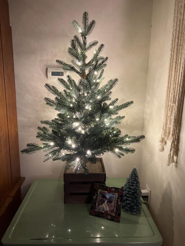 Customer carousel item 3.