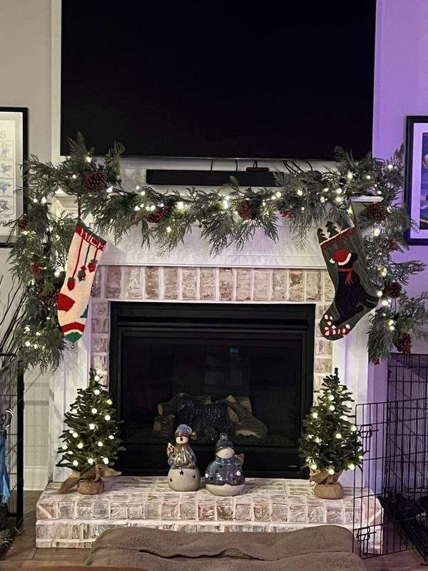 Review Thumbnail Image 0 375759726