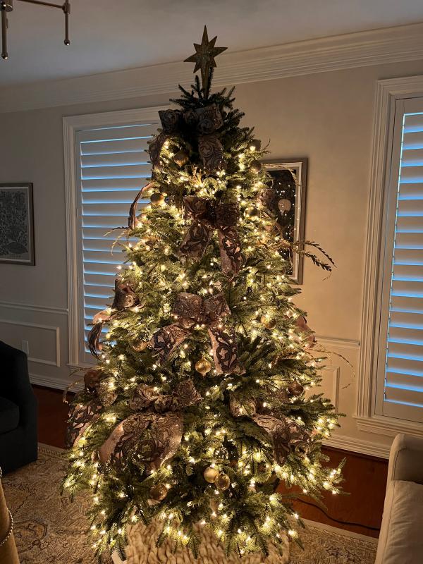 Top strand of lights are dead