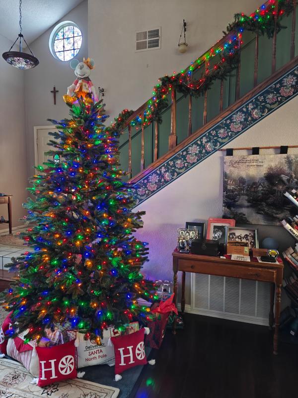 Balsam Hill tree and garland on the stairs as well.