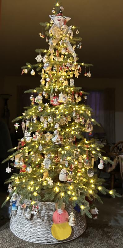 Customer carousel item 2.