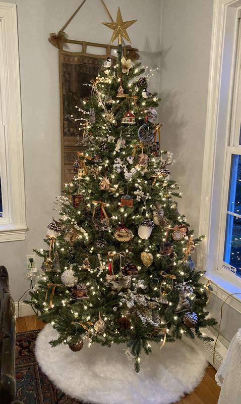 Customer carousel item 7.