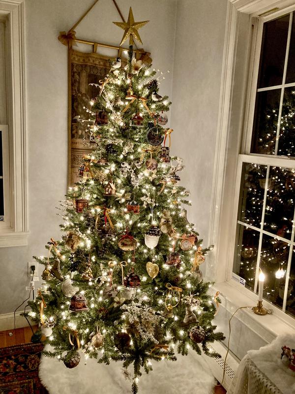 Customer carousel item 2.