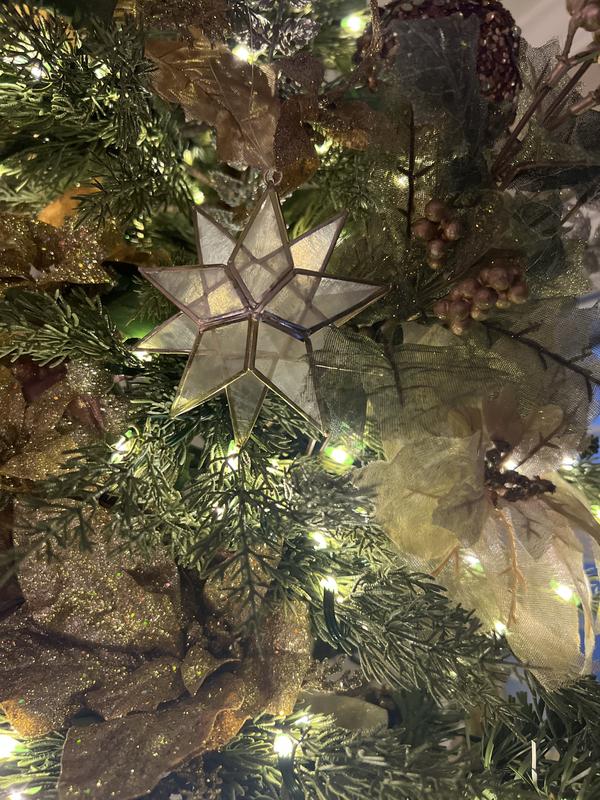 Review Thumbnail Image 2 373305952