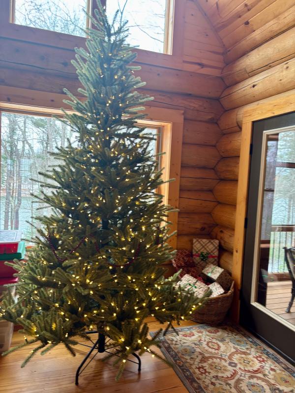 Right out of the shipping boxes, no fluffing by or ornaments yet