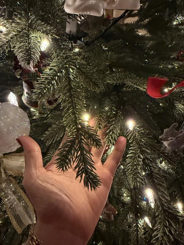 Review Thumbnail Image 3 369706679