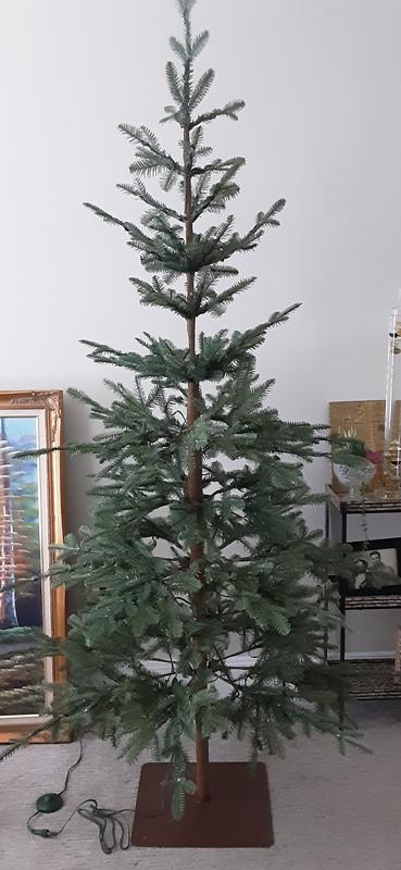 With living room lights on