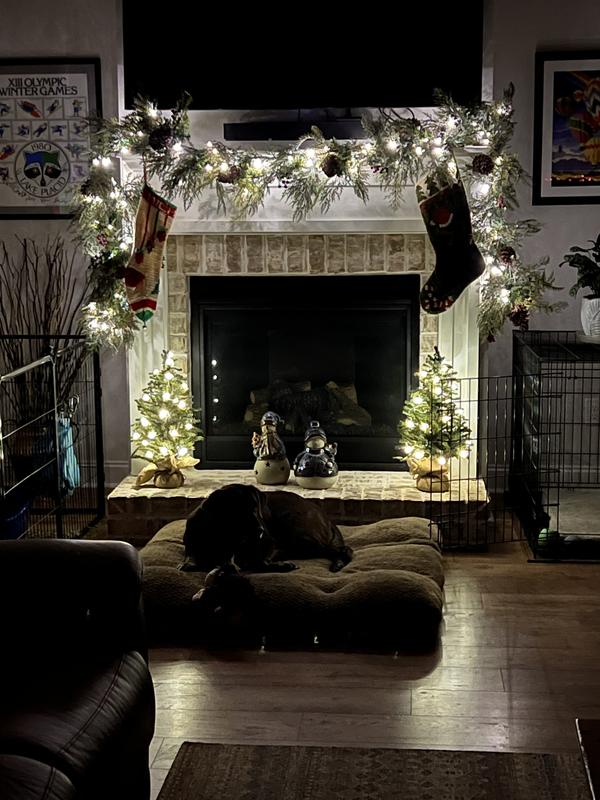 Review Thumbnail Image 1 375759726