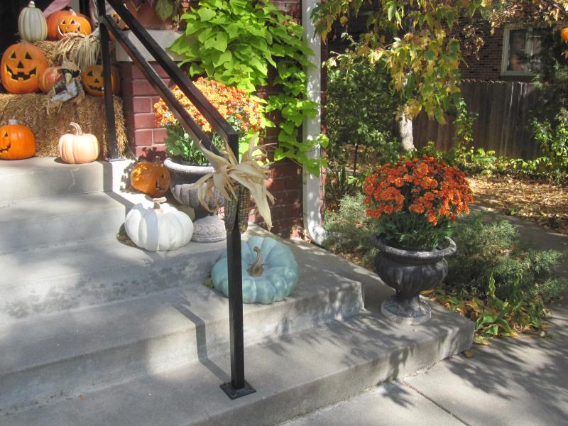 Outdoor Heirloom Pumpkins | Balsam Hill