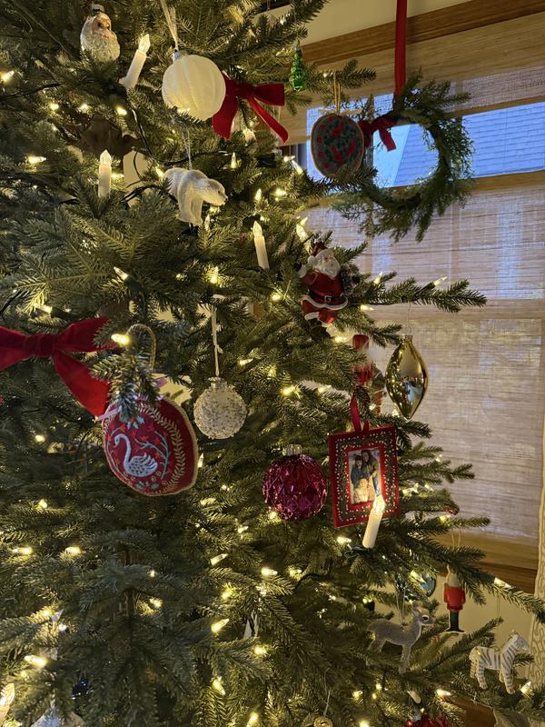 Review Thumbnail Image 1 369706679