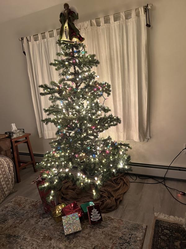 Review Thumbnail Image 1 376768668