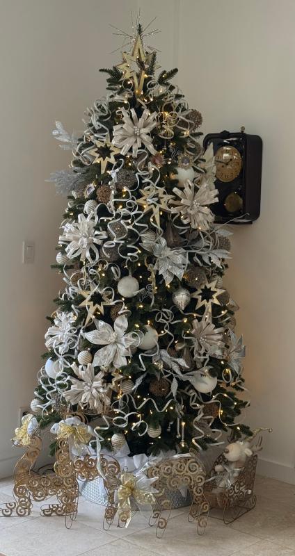 Dreaming of a white Christmas!