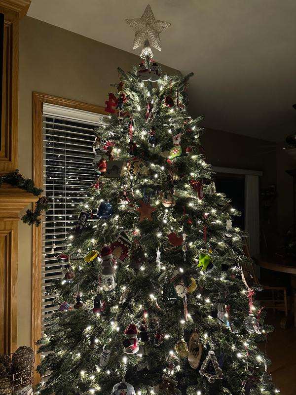 7.5 foot Fraser fir