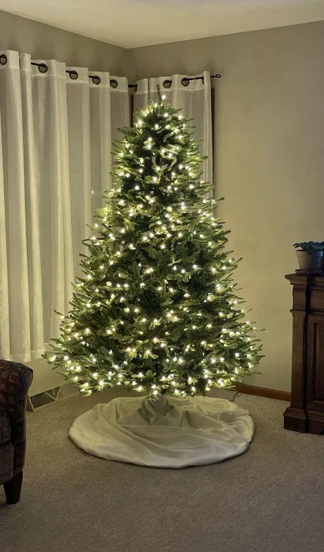 Beautiful without ornaments!