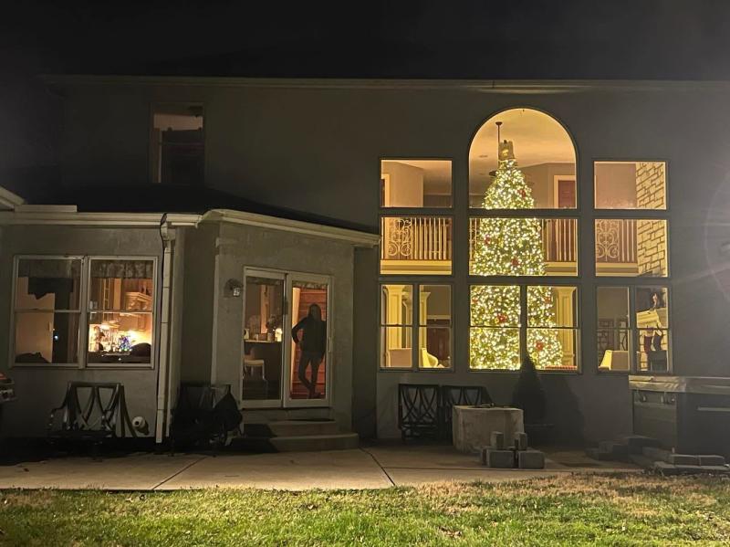 15' Vermont White Spruce Slim