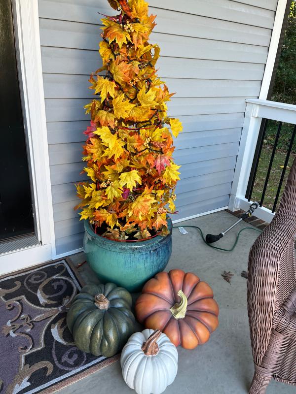 Outdoor Heirloom Tabletop Pumpkin Set | Balsam Hill