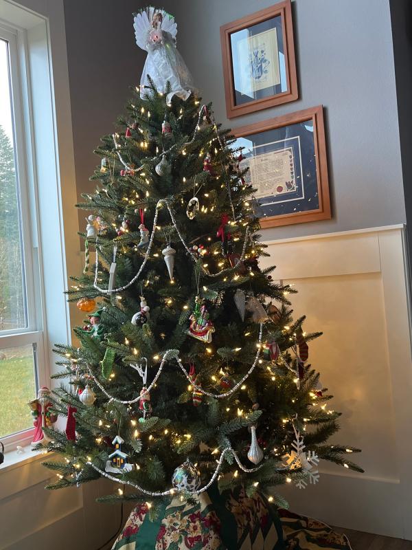 Christmas Concepts Pack Of 5 Clear Push In Fuse Bulbs 12v No 3b