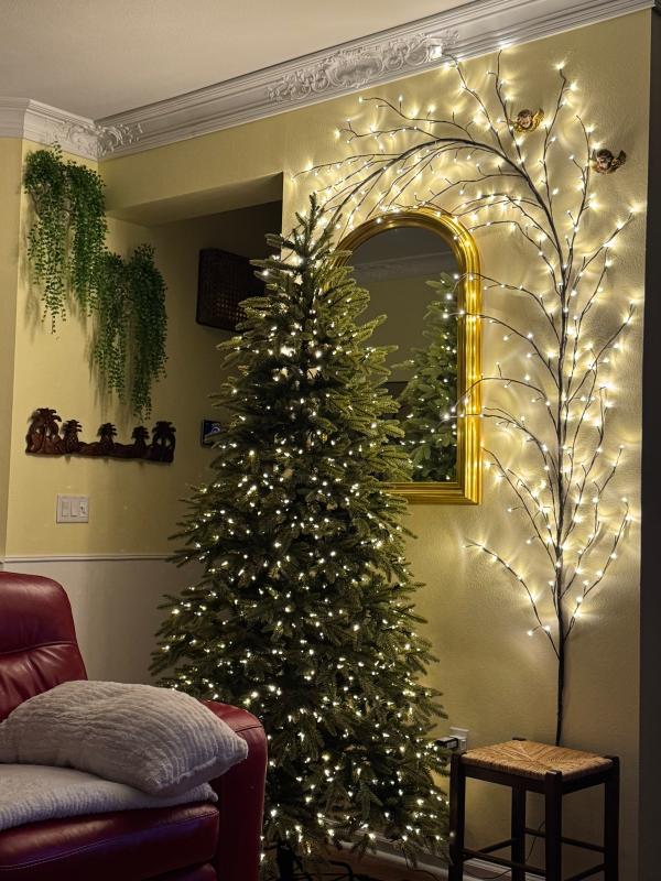 Year 'round perfection!