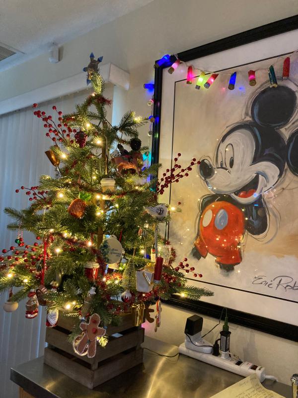 Photo from Christmas fan