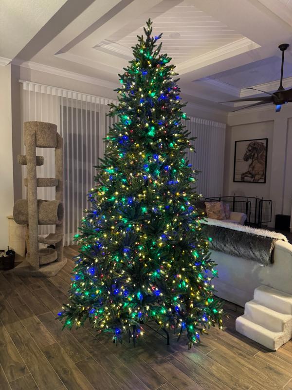 Colored with white lights