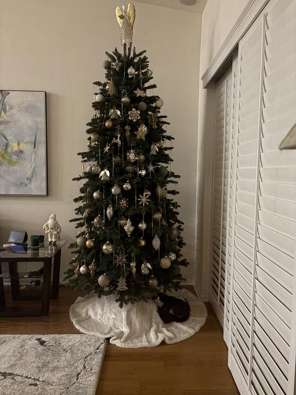 Review Thumbnail Image 0 373961520