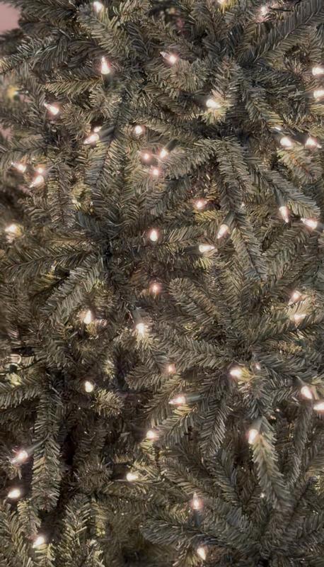 Close up of tree needles; no empty space