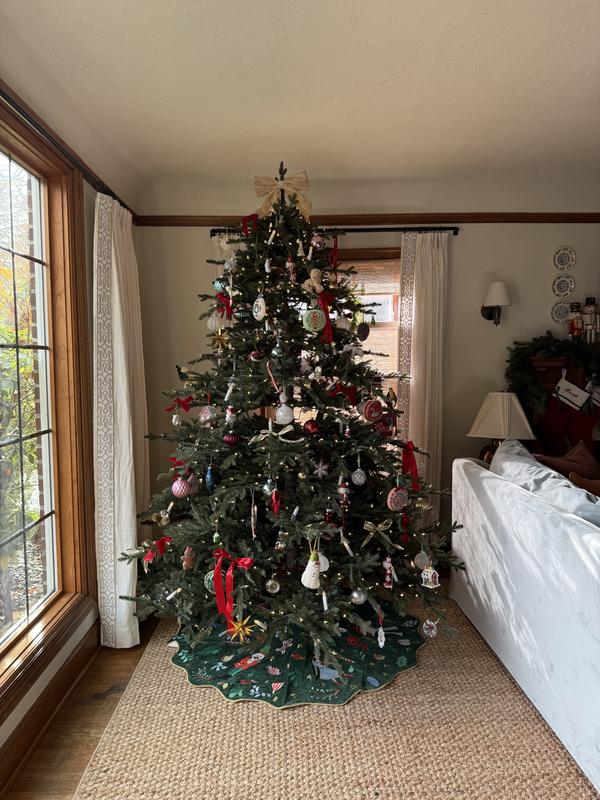 Review Thumbnail Image 2 369706679