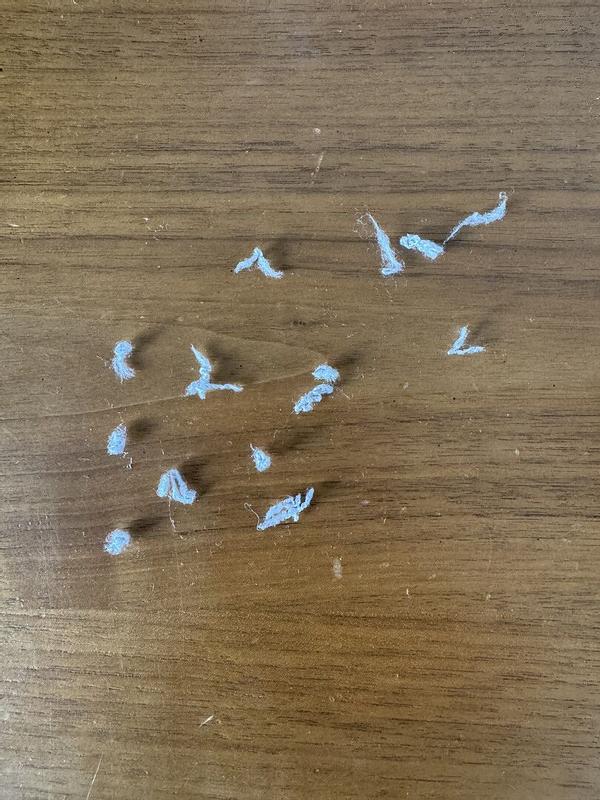 Review Thumbnail Image 0 381071704