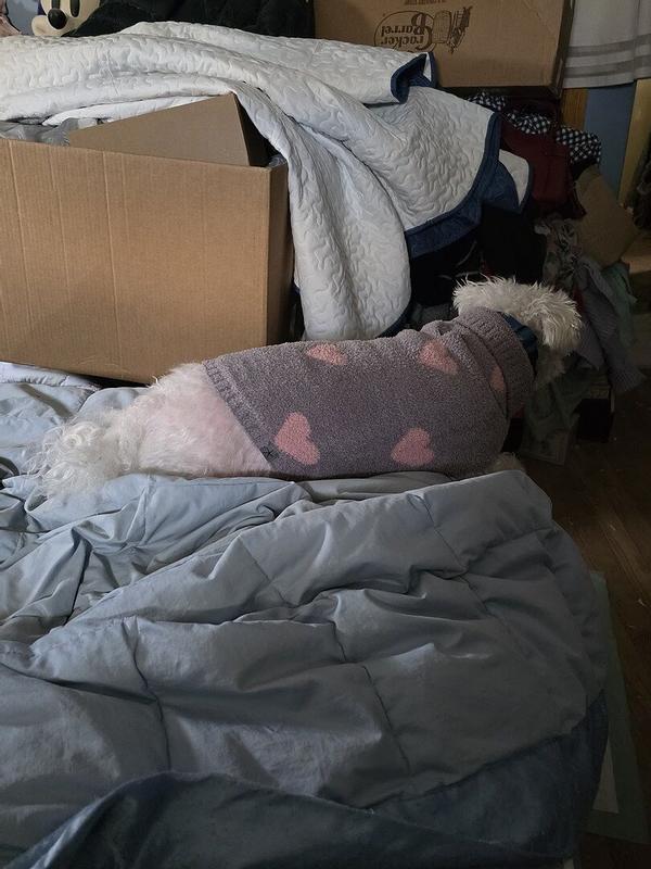 Review Thumbnail Image 1 377938239