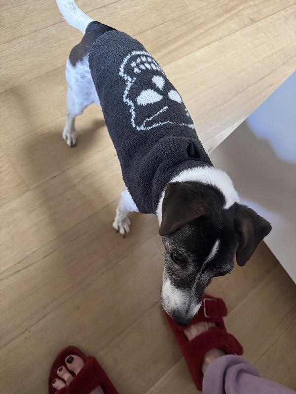 Review Thumbnail Image 0 374151534