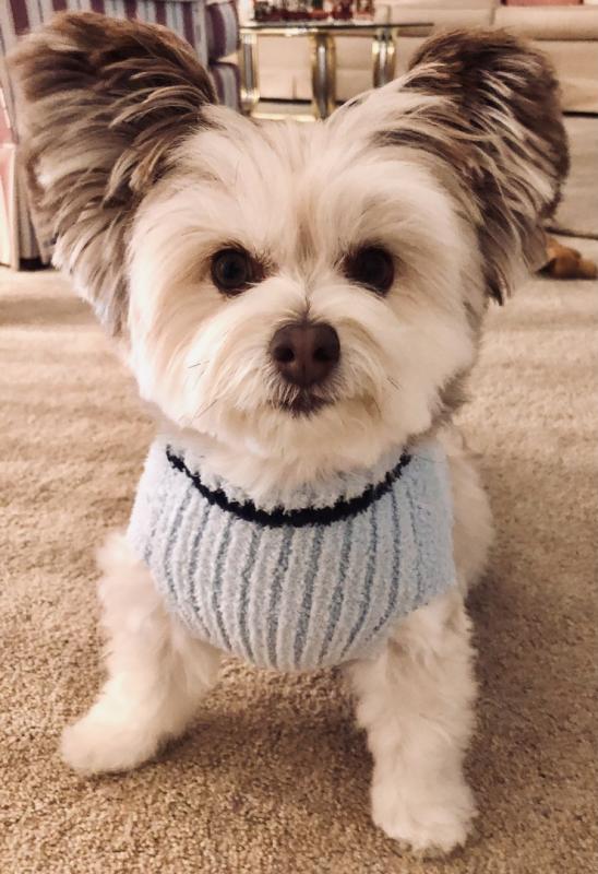 Review Thumbnail Image 0 319385332