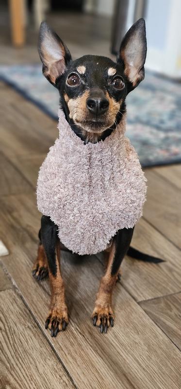 Customer photo for "So stinking cute"