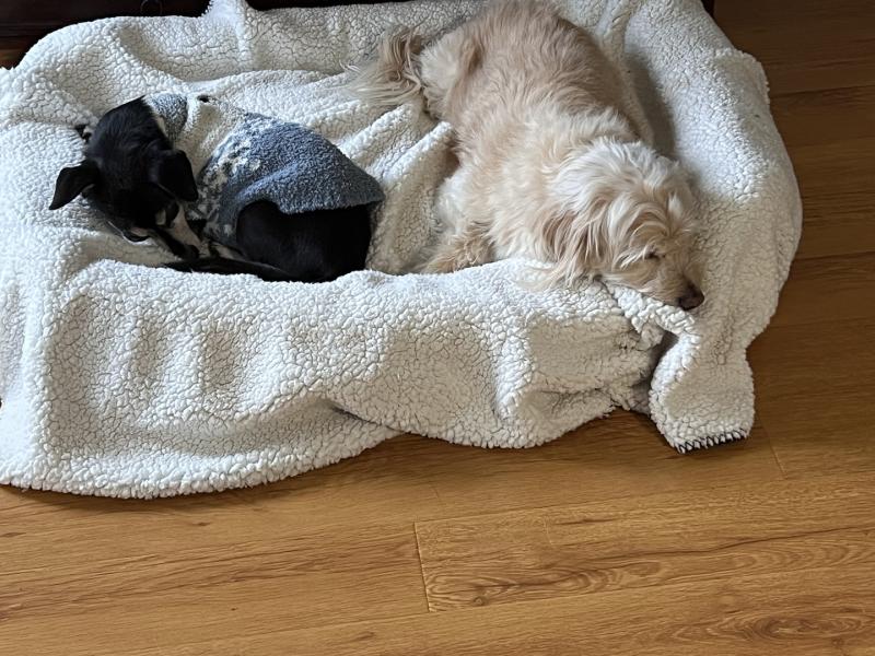 Review Thumbnail Image 0 319377152