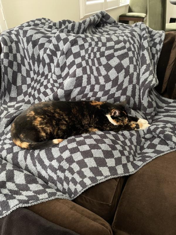 Customer photo for "Coziest for people and pets"