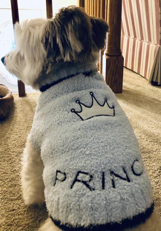 Review Thumbnail Image 1 319385332