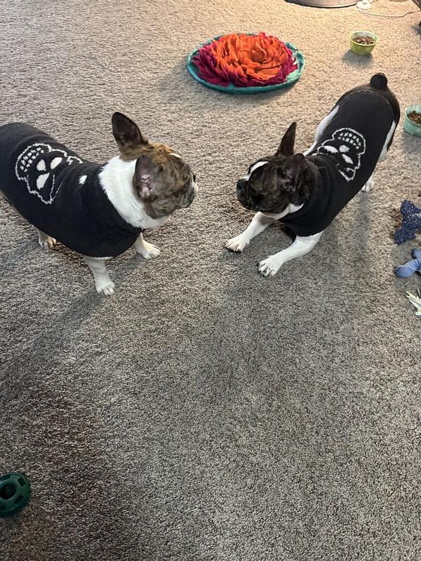 Review Thumbnail Image 1 368763847