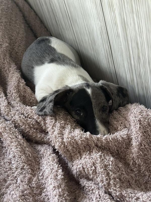 Customer photo for "So soft!!"