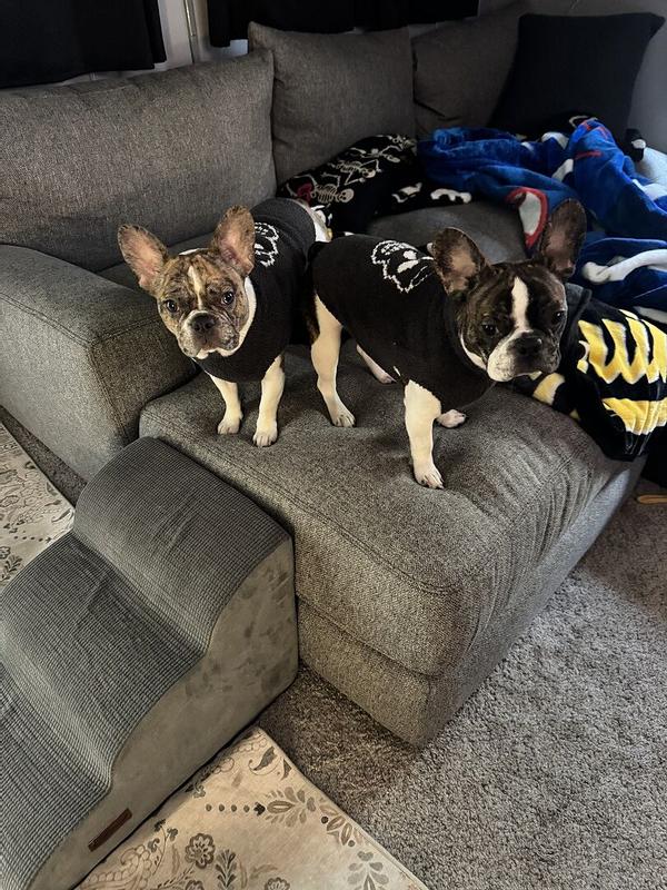 Review Thumbnail Image 0 368763847