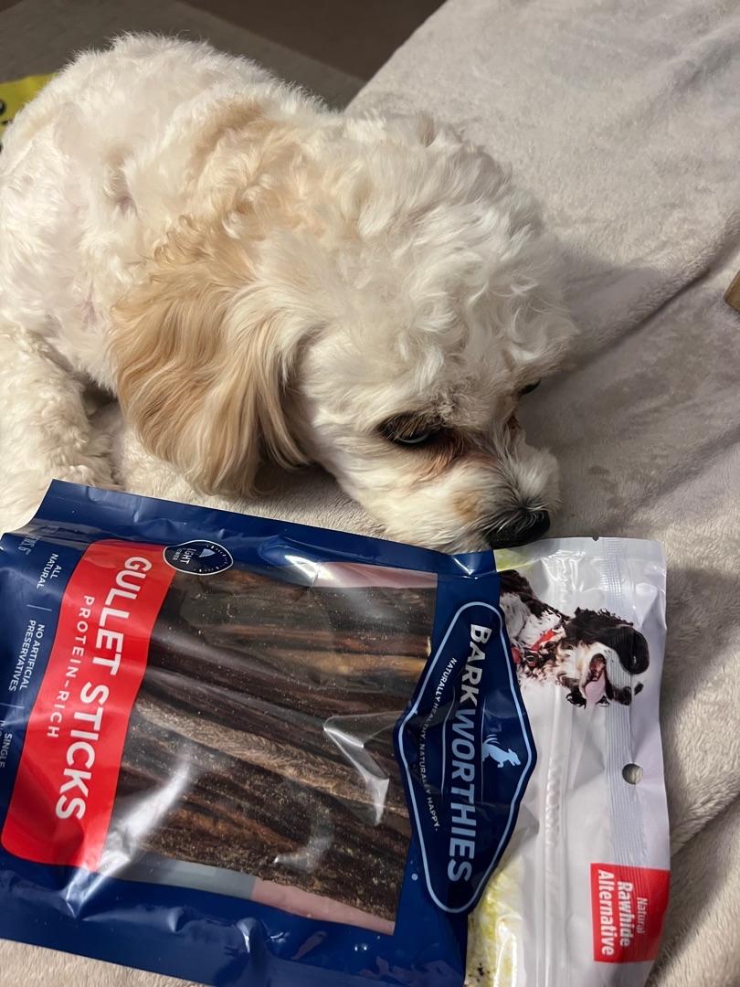barkworthies gullet sticks