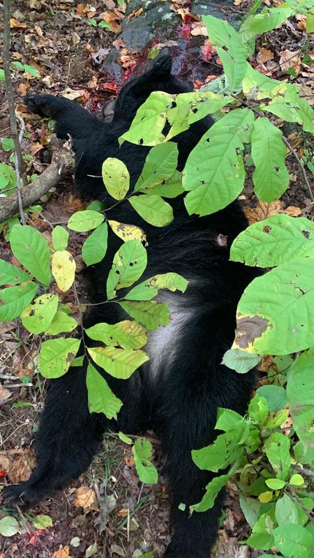 Photo - commentaire&nbsp;6.